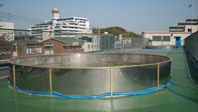 屋上プール
